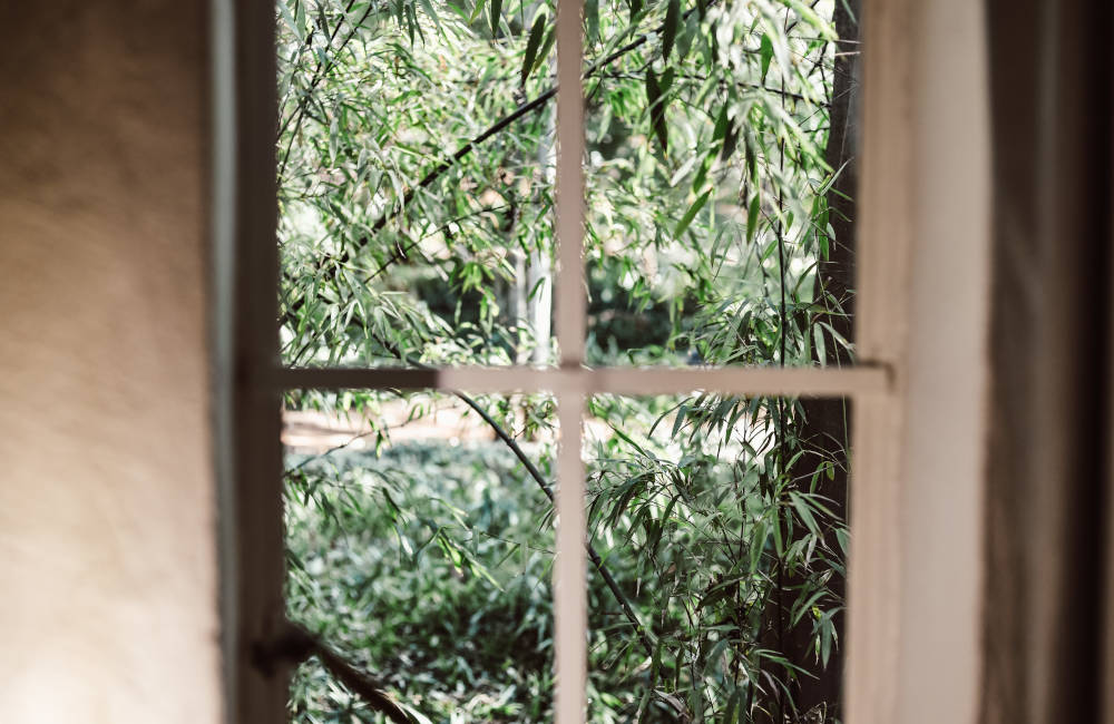 Pierneef's Kraal window view